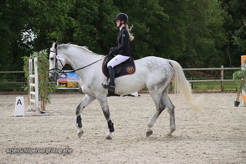 Hippisch Festijn PSV Polarfurst 2022 Prijsuitreiking M