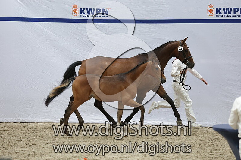 Vunanita v. Grand Slam VDL