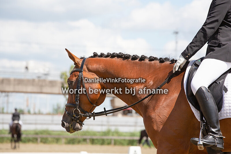 Corine Duivenvoorden - Selion Seps Z