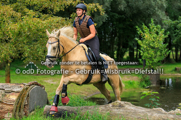 Trainingen Margo van Nijnatten Groep 4 11.30 19-08-23