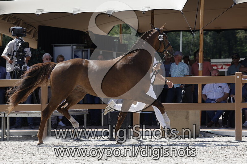 Philepine B v. Glocks Toto JR