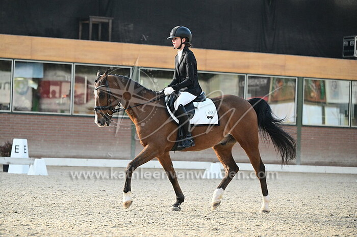 Sylvie van der Hoek - Zappa Du Vi