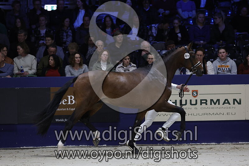 Reinberg Jb v. Bloomberg - 301