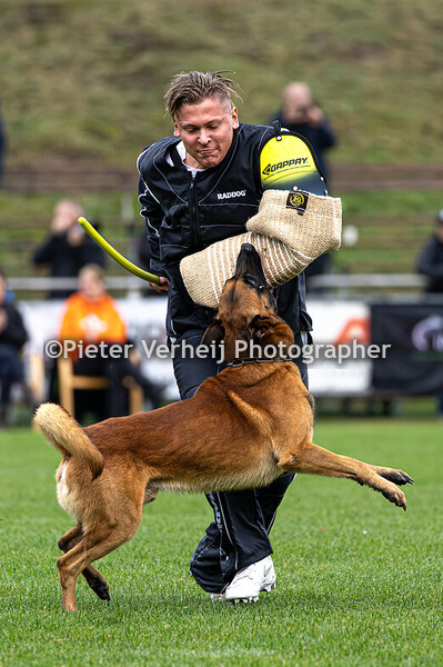 Stephan Wehmeyer with Adhoc vom Feisty Clan