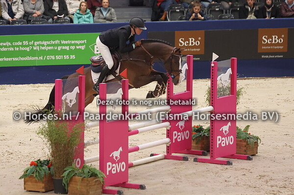 Pinacolada van Seldsum (v. Dominator Z) Joy Lammers