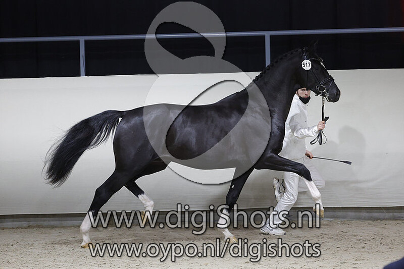 Oakley v. Kremlin MD