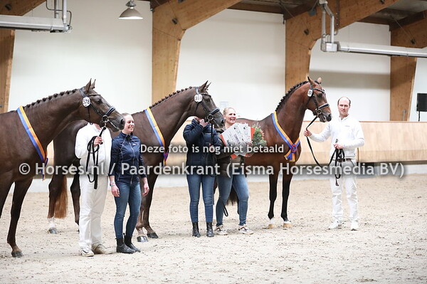 Premiehengsten op voorterrein
