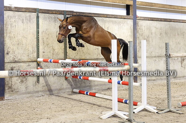 2 So Delicioous (Mans x Miss Dior v. Caarrera VDL)