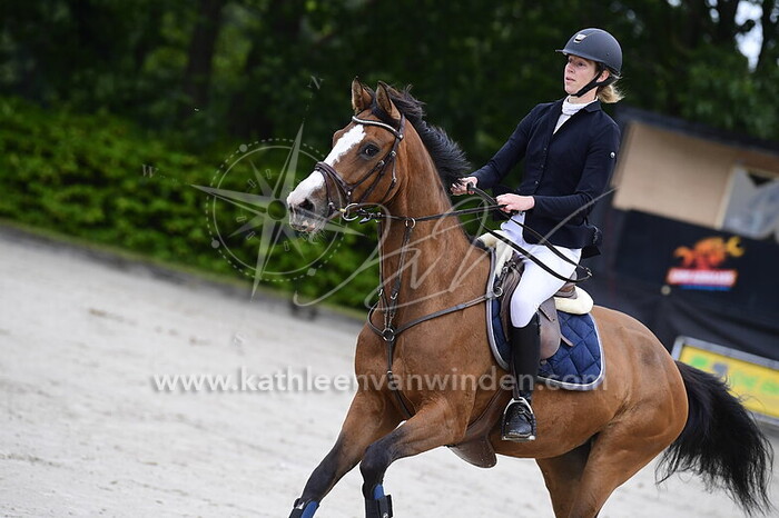 An van Doorslaer - Happy Vita