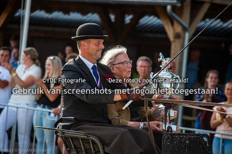 KWPN Tuigpaardendag 2023