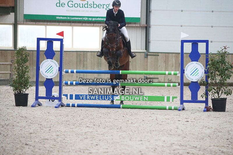 Stal Groenendaal Springen Paarden 10-11-2024 100 cm