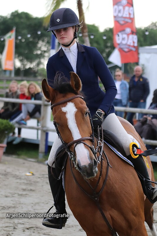 ch sneek 09-06-2019 Paarden Z/ZZ