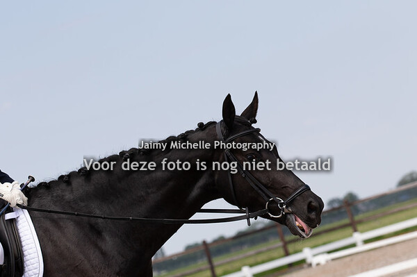 Roos Mol