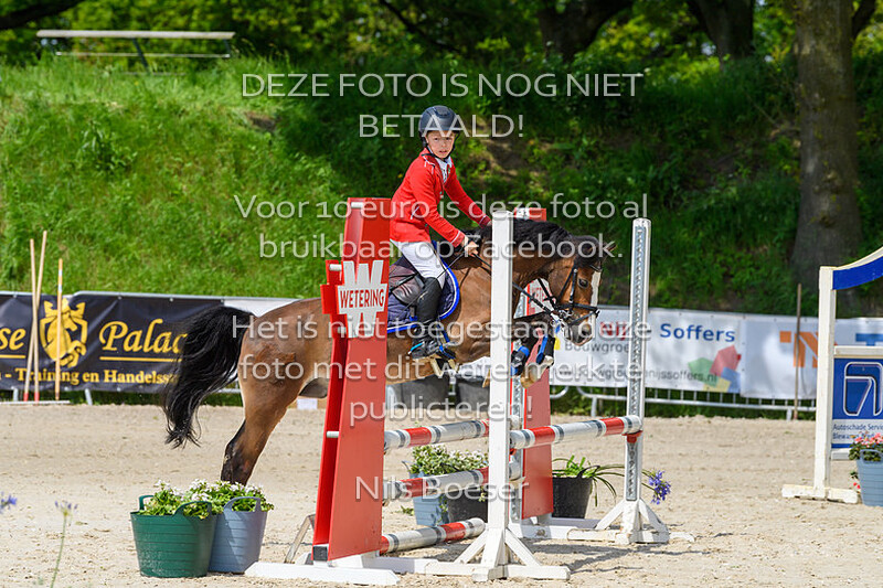 S17 Springen AB 70cm