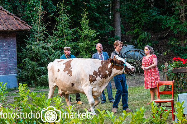 Openluchttheater De Kösterskoele - Kats op de Loppe