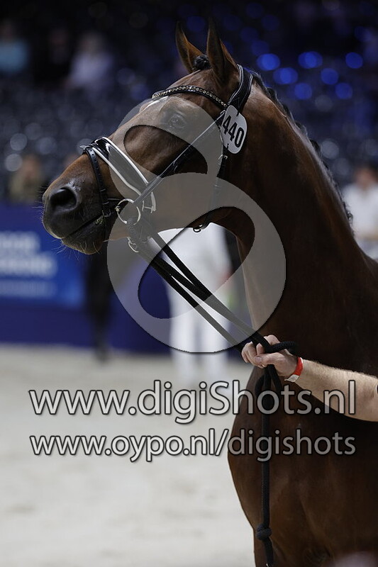 Ramblas v. Lantanas - 444