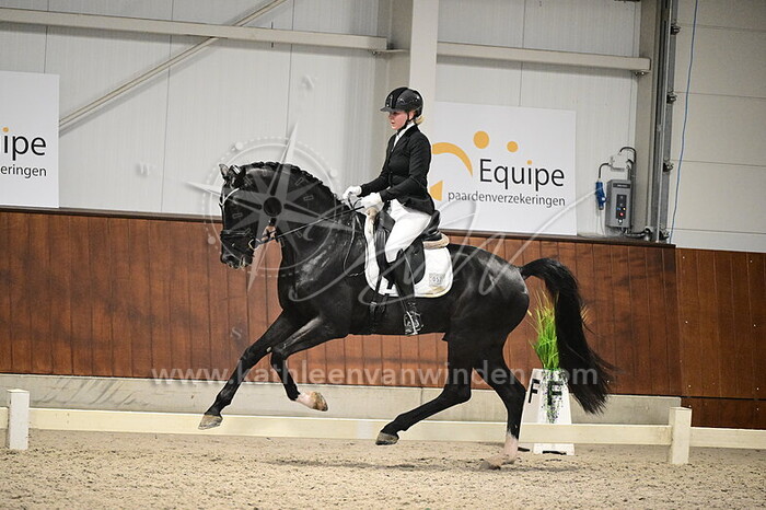 Christine Falander Wold - Poetic Motion