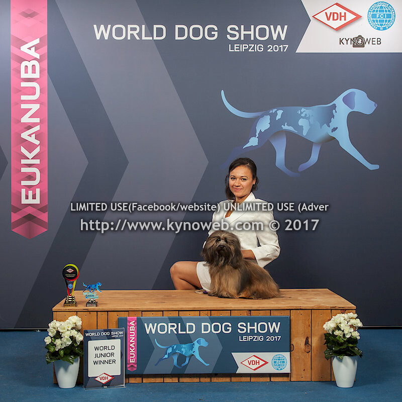 BOB / FREE / EXPRESS