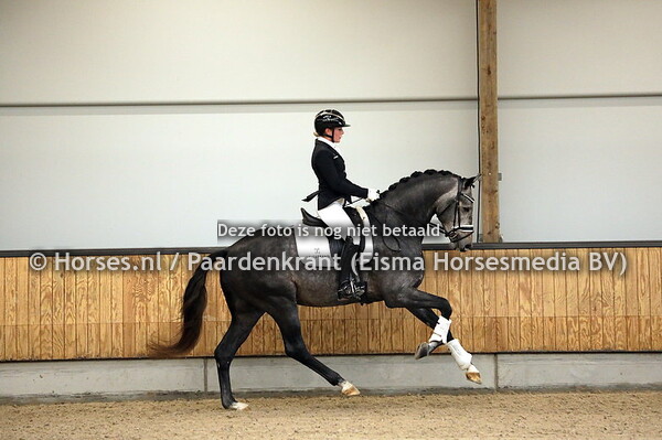 38 Proud James (Jameson RS2 x Johnson)