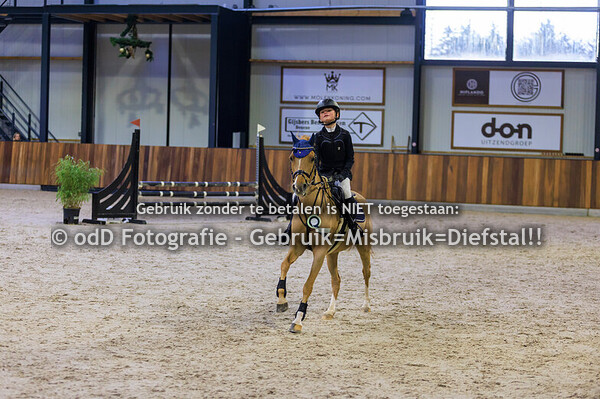 Green Valley Kerst Trophy Pony's 70cm 22-12-24