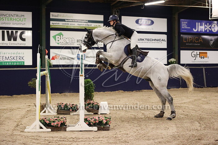 Linn Kvernes - Hermantico