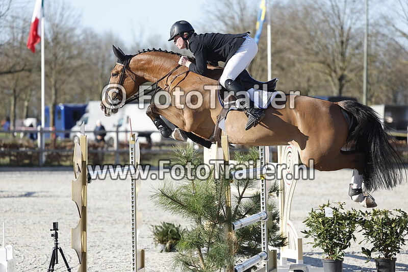 dennis van den brink