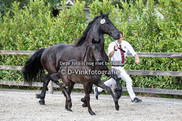 58. Saar van de Bokkefarm