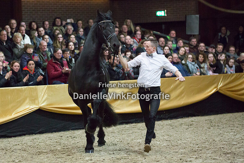 Hengstenshow Lunteren 24-02-2018 - Hette 481