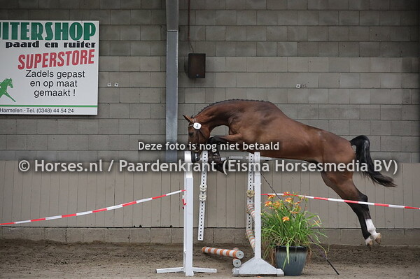 3 Manni Louise (High Shutterfly x Fanni Louise v. Unaniem