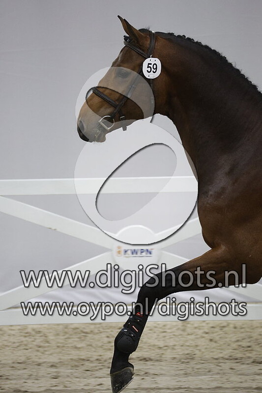 Corvette Z G Z v. Cornet Obolensky