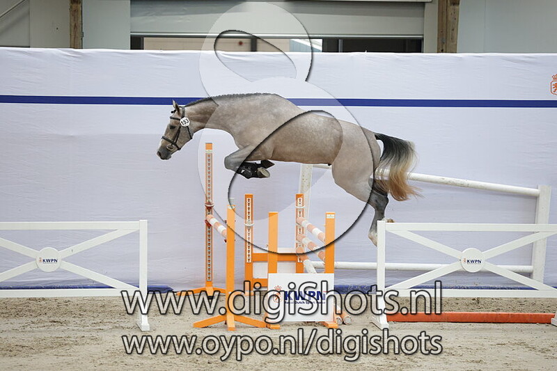 Thunder K van de Rabinahoeve