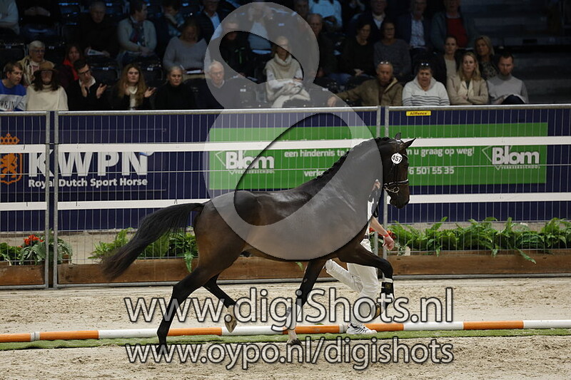 Rio Grande v. Las Vegas - 457