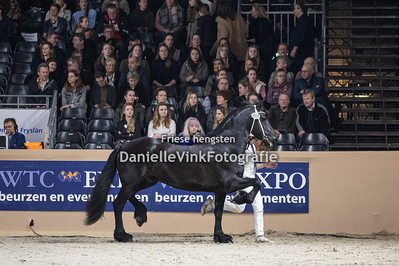 Hengstenkeuring 2023 Rommert 498