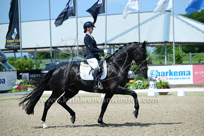 Ineke van Adrichem - Presto