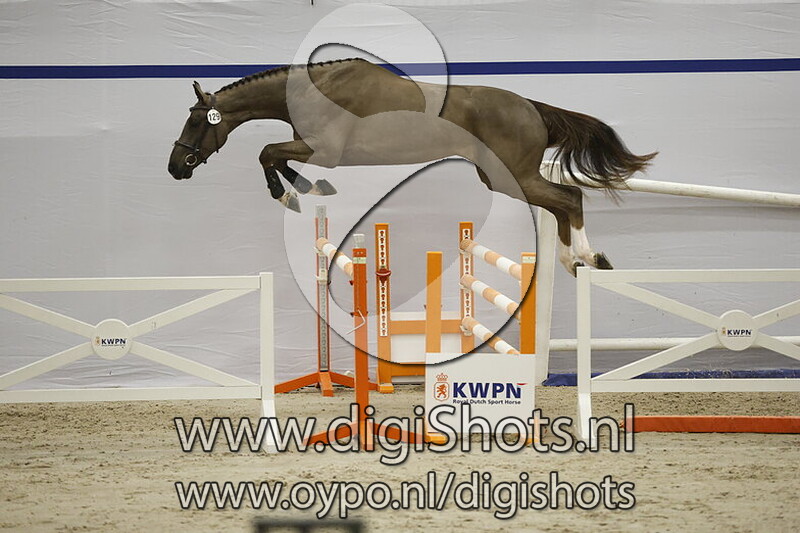 Squadron Go v. New Pleasure VDL