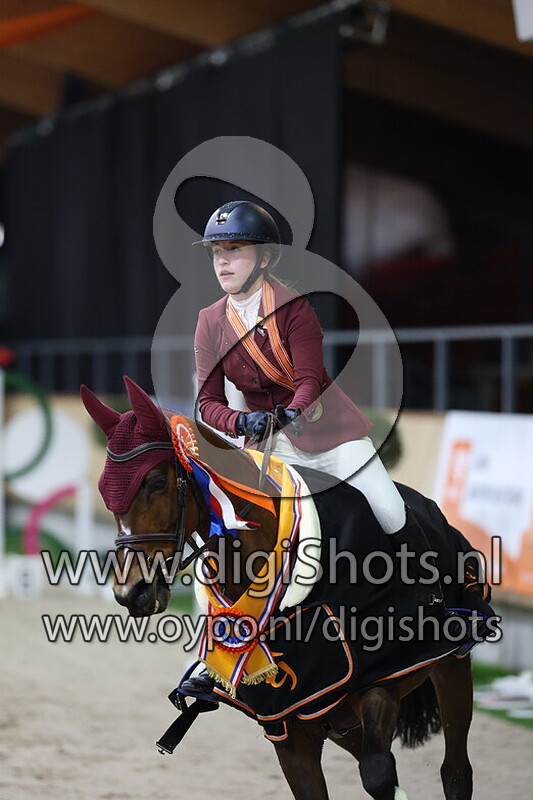 Diamond Hits Beauty H