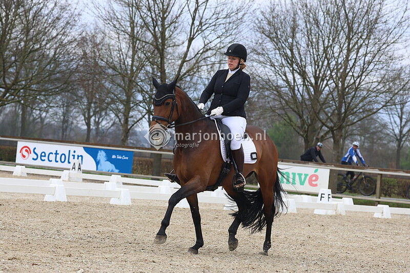 11_HAAKSBERGEN_DRESSUUR_VANAF11.15_23MRT2025