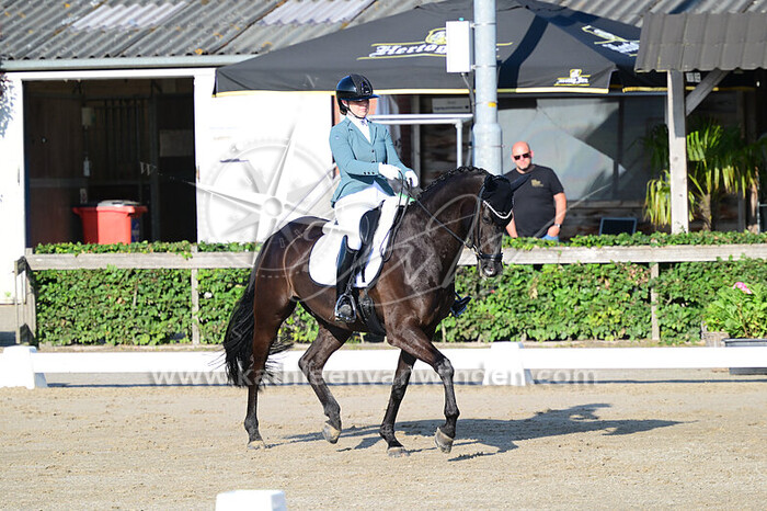 Floor Vork - Massimo