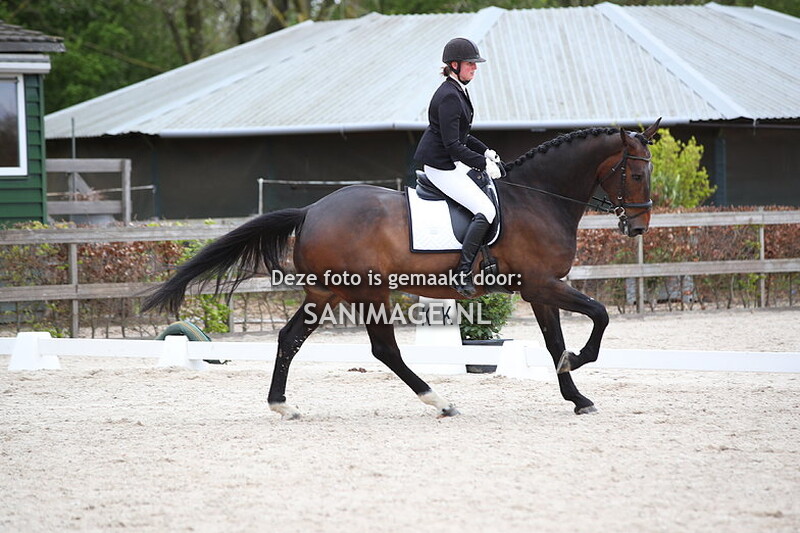 Zilfia's Hoeve Dressuur 28-04-2024 Ring 1 Paarden L2/M
