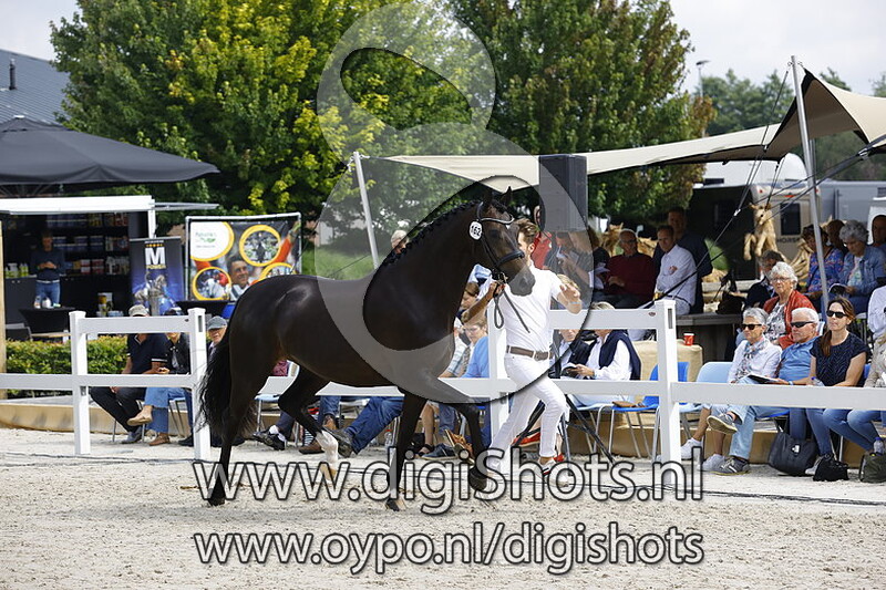 162 Nokia v. Just Wimphof