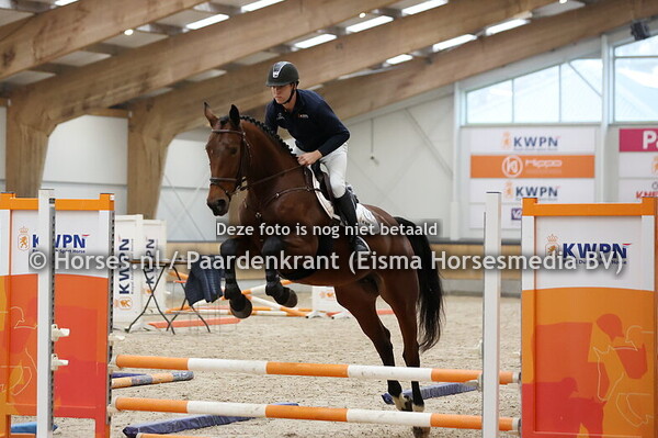 9 Poniels (Qatar ter Saleghem x Moniels v. Twister de la Pomme)