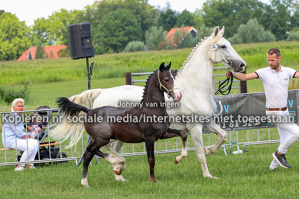 fokdag Terschuur en ch 2025