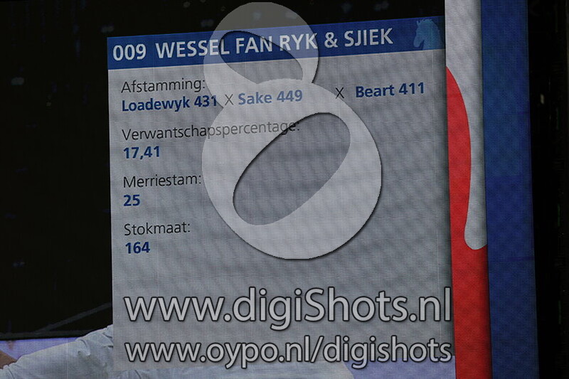 Wessel Fan Ryk & Sjiek