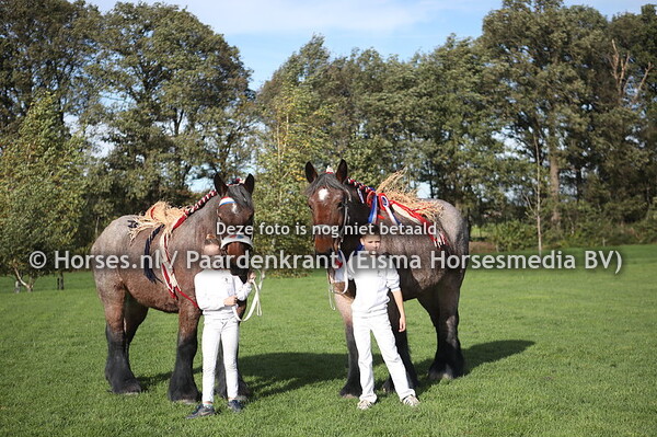 29 Lotte van de Maaskanthoeve (Siem van Dekkershoef x Elsje van Grotel)