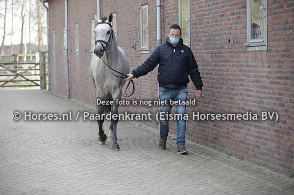 8 Neymar (El Barone i111 x Bola v. Vainqueur)