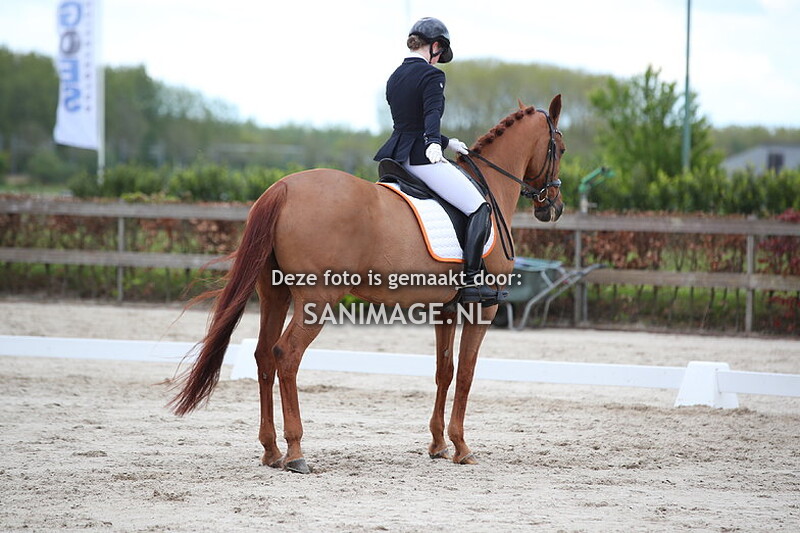 Zilfia's Hoeve Dressuur 28-04-2024 Ring 1 Paarden Z/ZZL