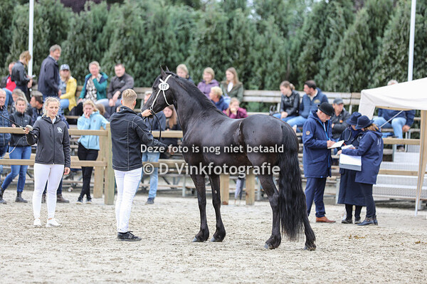 117.. Maylin van Zomerstaete