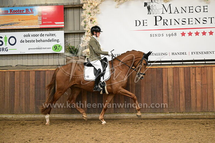 Gayle Bosch - Skylger