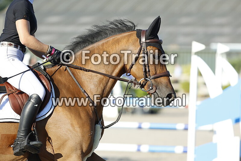 angela van daatselaar