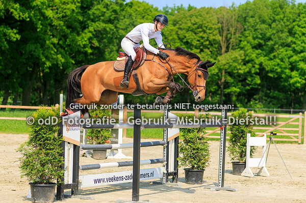 Heldense Ruiterdagen Paarden 130cm 11-05-24